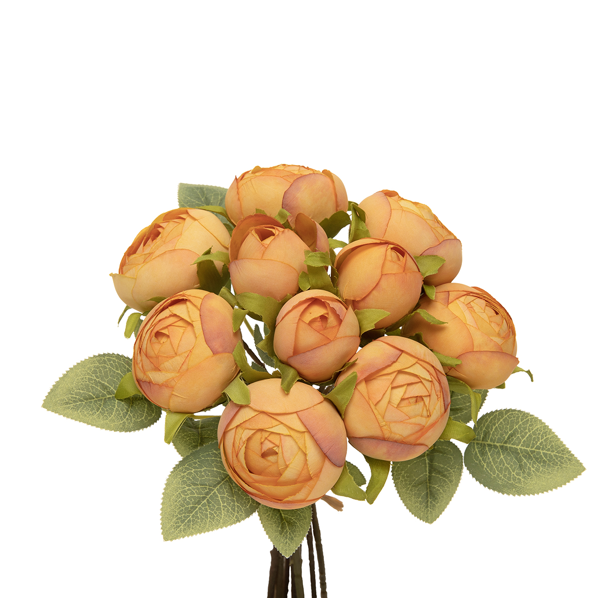 BUNDLE OF 10 CABBAGE ROSE TANGERINE 6IN X 10IN (2IN HEAD) - Click Image to Close